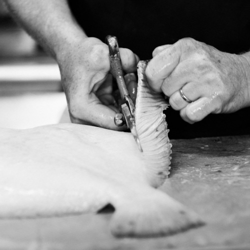 travail du poisson frais