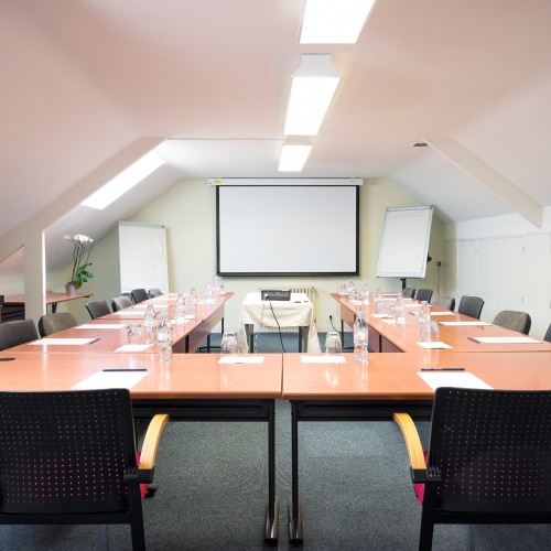 Vidéo projecteur germinal